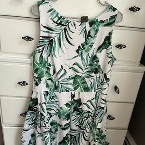 Taylor Women’s Dress